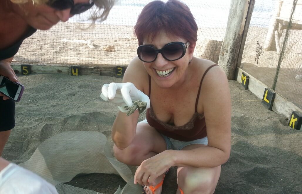Volunteer in Costa Rica - Sea Turtle Conservation Volunteer in Costa Rica - Sea Turtle Conservation