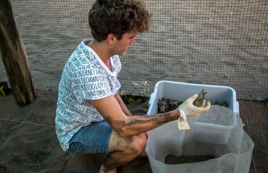 Volunteer in Costa Rica - Sea Turtle Conservation Volunteer in Costa Rica - Sea Turtle Conservation