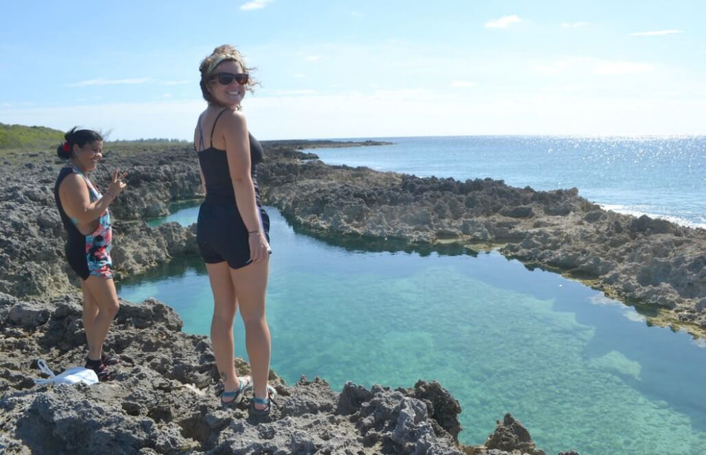 Cocodrilo Is So Beautiful! Cocodrilo Is So Beautiful!