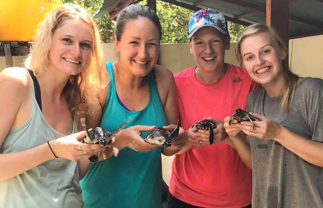 Volunteer in Indonesia - Bali Sea Turtle Rescue Volunteer in Indonesia - Bali Sea Turtle Rescue