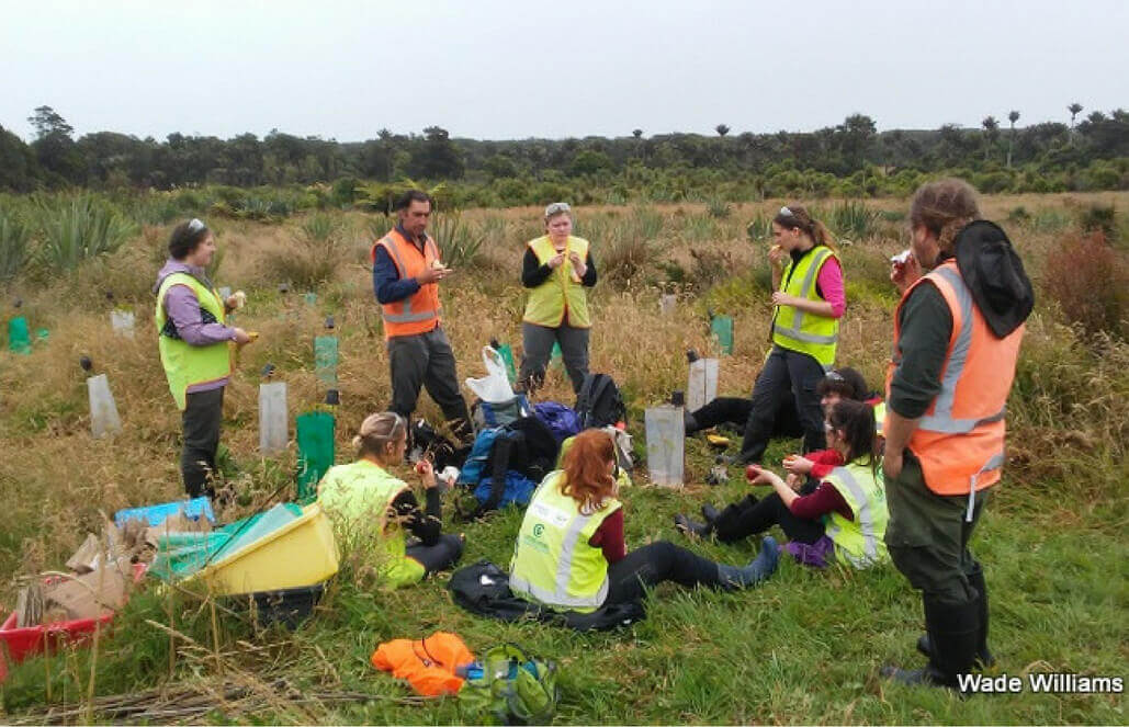 Volunteers in New Zealand