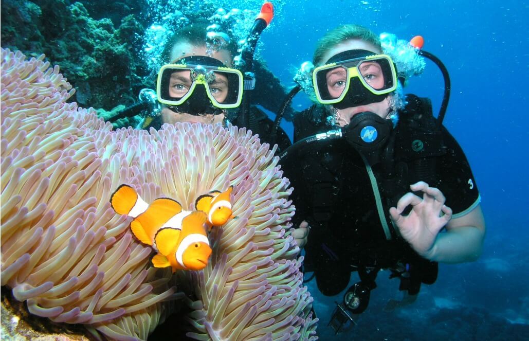 GoEco Marine Conservation Programs GoEco Marine Conservation Programs