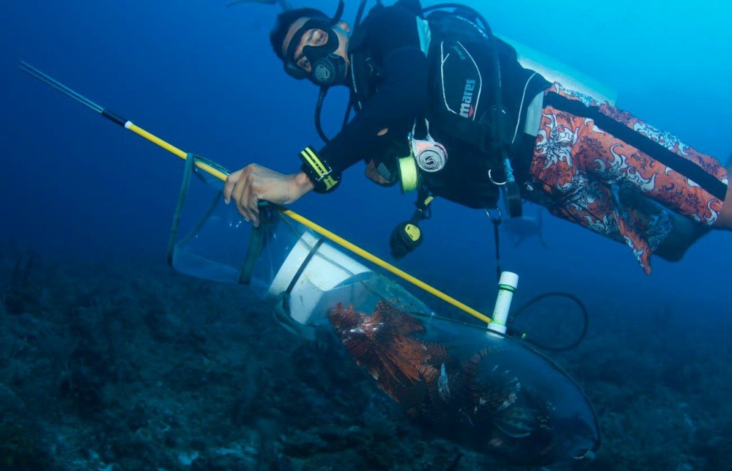 Belize - Private Island Marine Experience