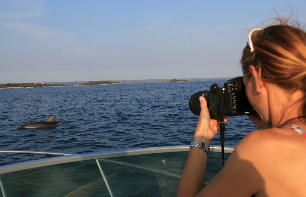 Volunteer in Croatia - Bottlenose Dolphin Conservation Volunteer in Croatia - Bottlenose Dolphin Conservation