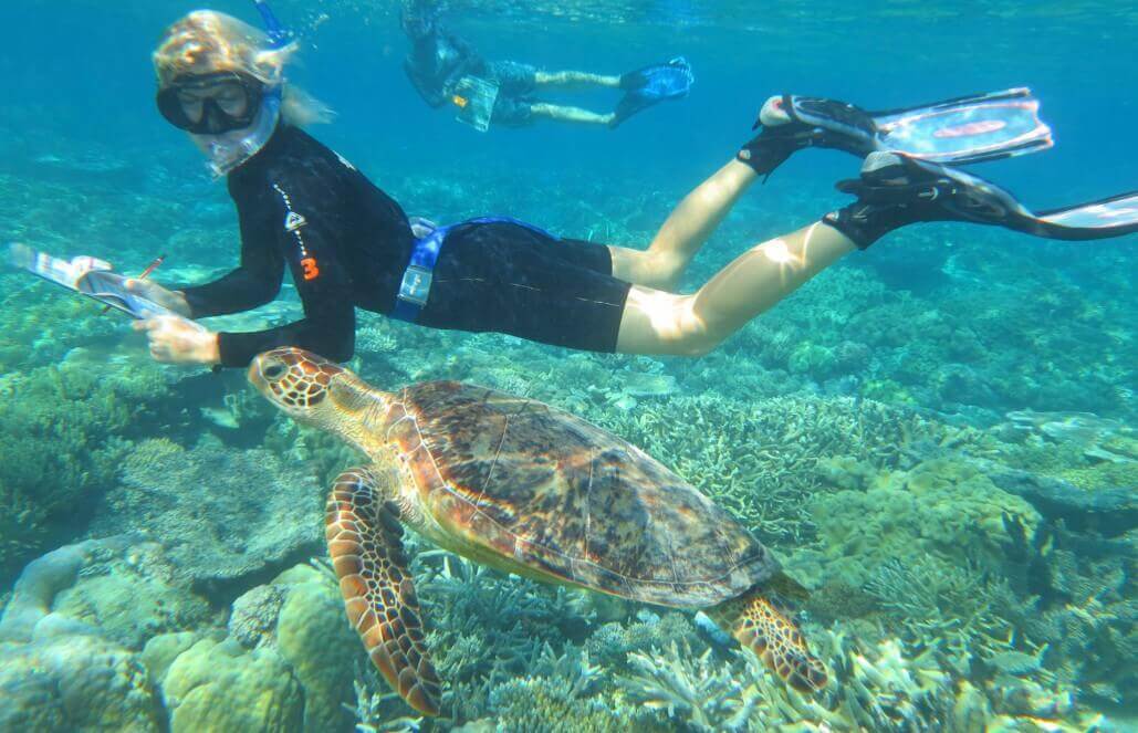 Volunteer in Australia - Great Barrier Reef Conservation