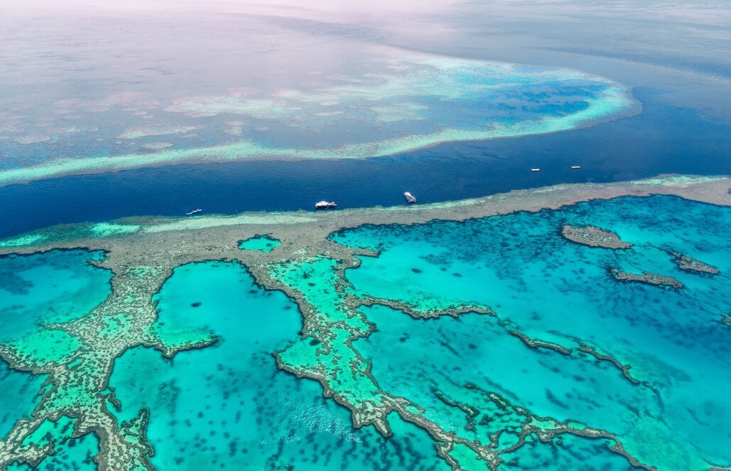 Volunteer in Australia - Great Barrier Reef Conservation