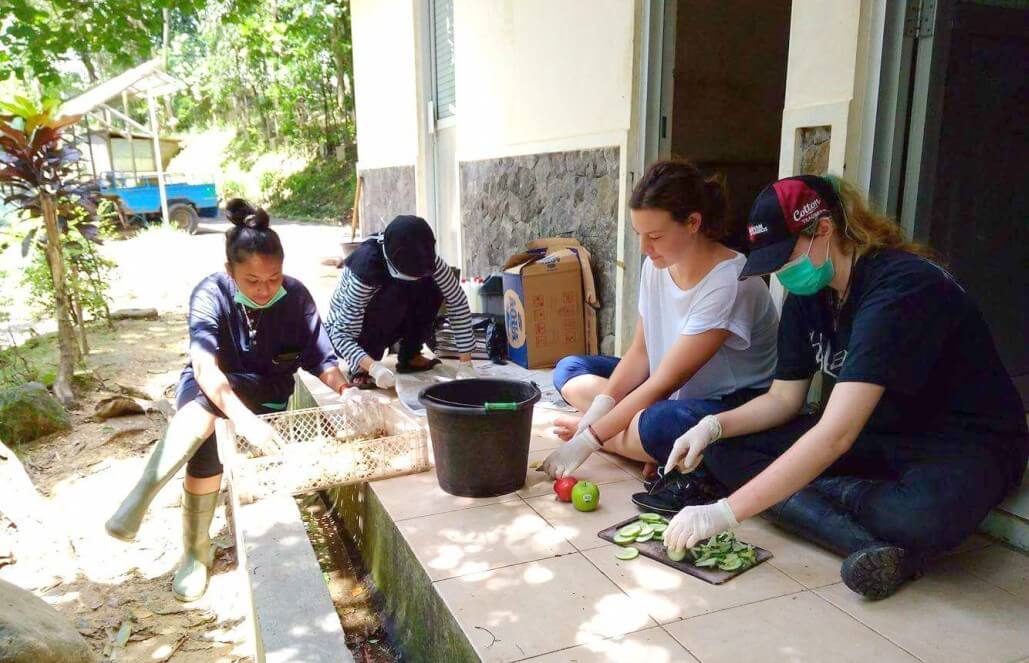 Making enrichment for the Macaque Monkeys