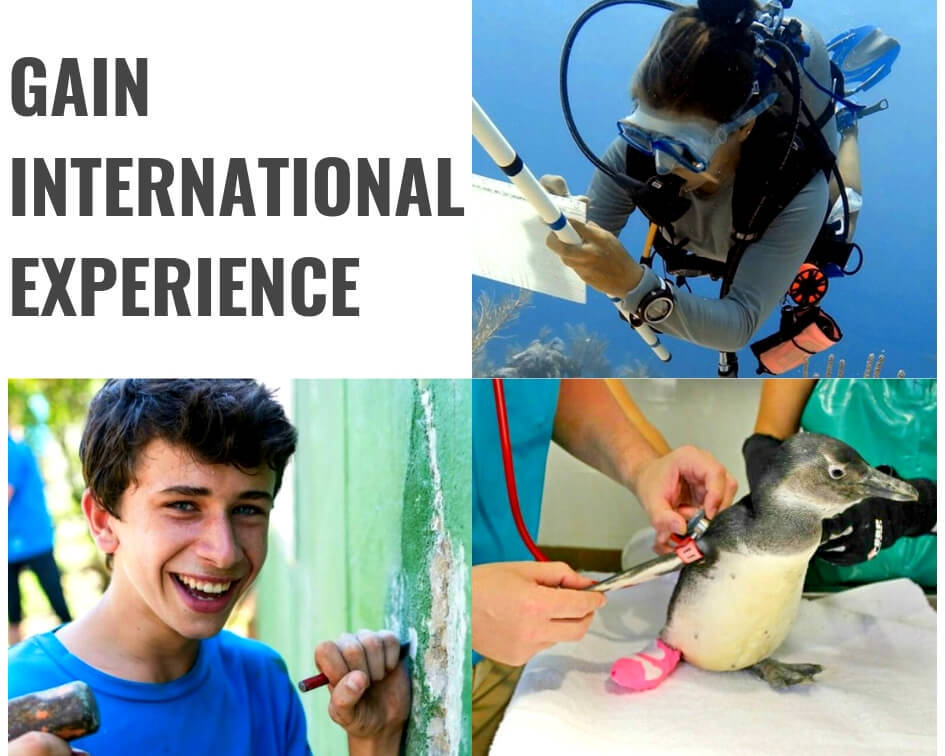 Gain International Experience Gain International Experience