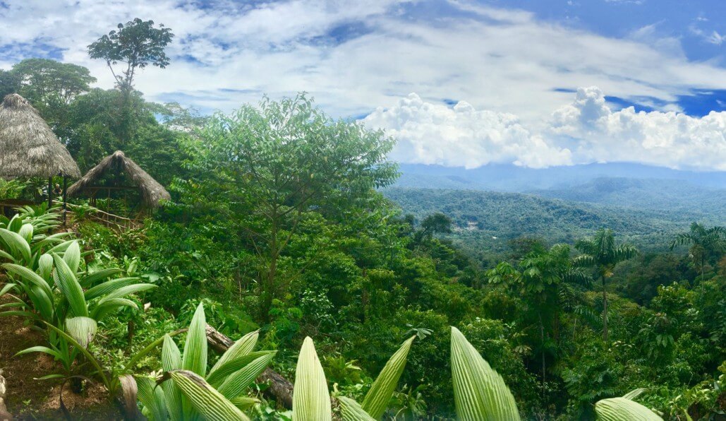 Volunteer in Ecuador - Wild Animal Rescue Center