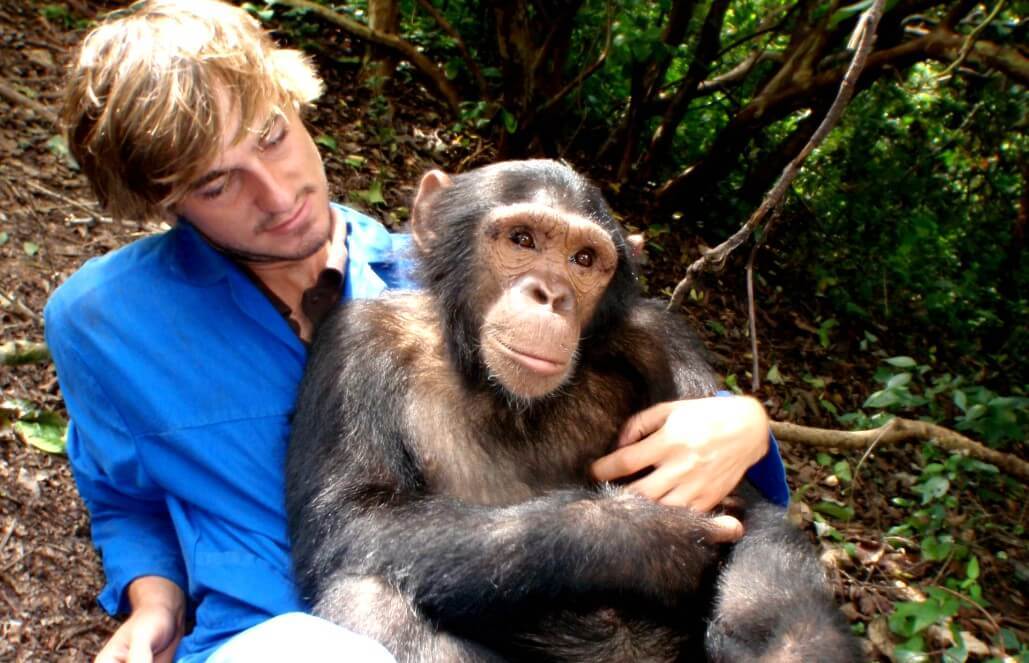 Volunteer in Zambia - Chimpanzee Wildlife and Orphan Care Volunteer in Zambia - Chimpanzee Wildlife and Orphan Care