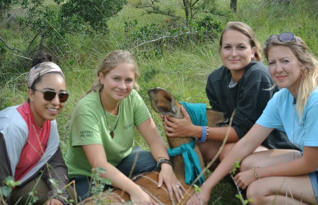 Volunteer in South Africa - Pre-Vet Wildlife Internship
