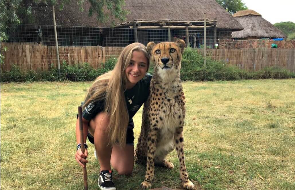 Volunteer in South Africa - Three-Legged Cheetah Bailey Volunteer in South Africa - Three-Legged Cheetah Bailey