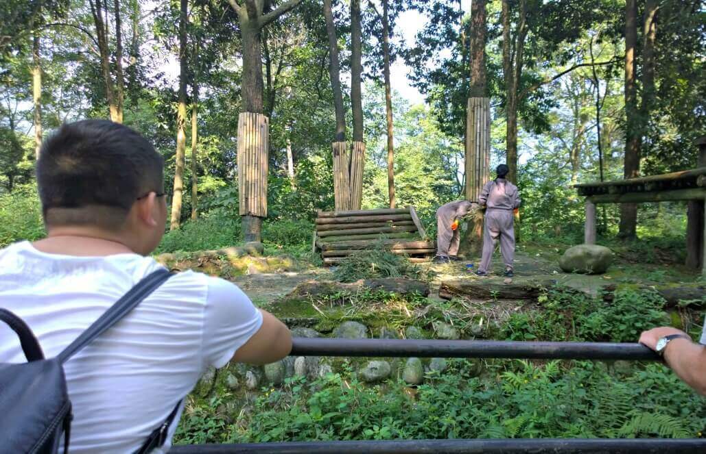 Volunteer in China - Volunteers in the Aviary