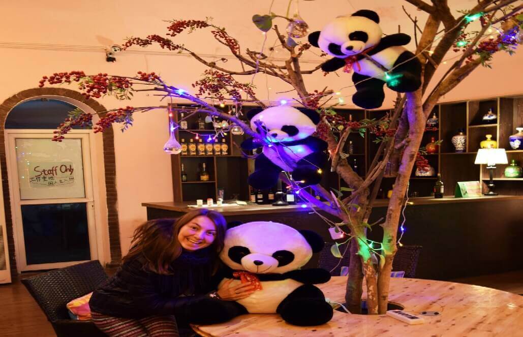 Volunteer in China - Mrs.Panda Hostel