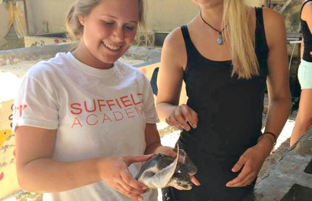 Volunteer in Indonesia - Holding A Sea Turtle Volunteer in Indonesia - Holding A Sea Turtle