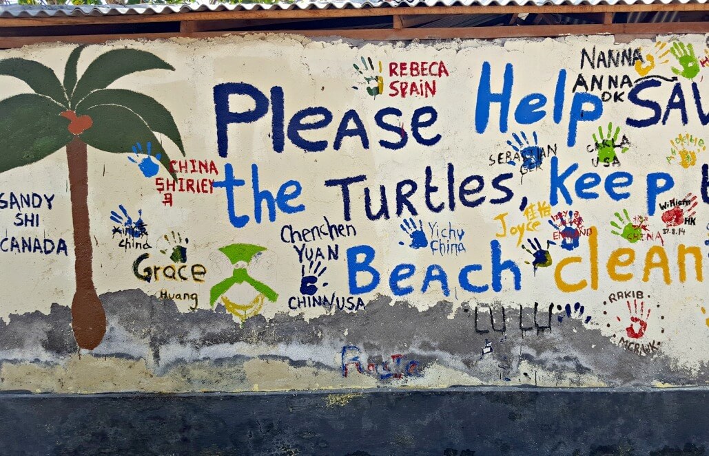Volunteer in Indonesia - Bali Sea Turtle Rescue Center