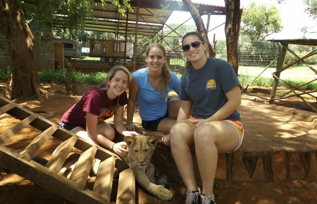 Volunteer in South Africa - A Lion Cub