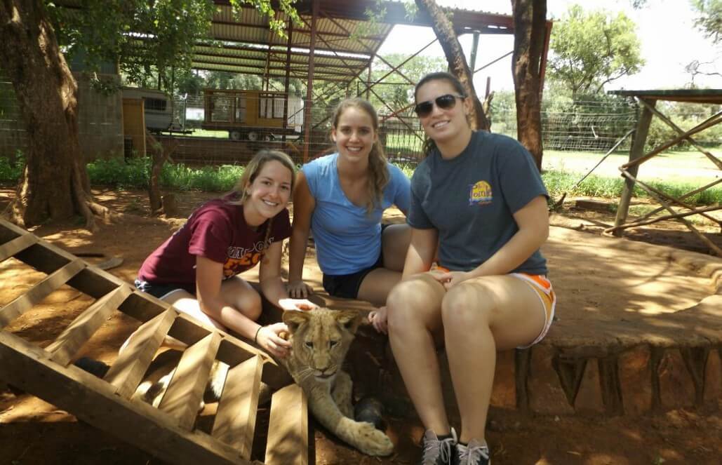 Volunteer in South Africa - A Lion Cub Volunteer in South Africa - A Lion Cub