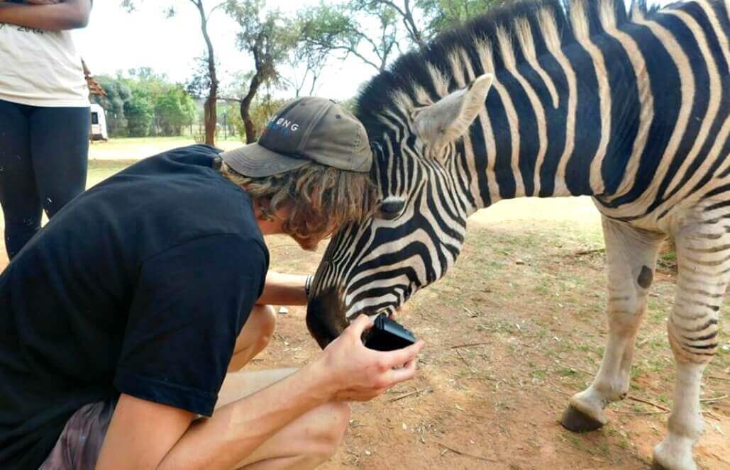 Volunteer in South Africa - So Close To The Zebras