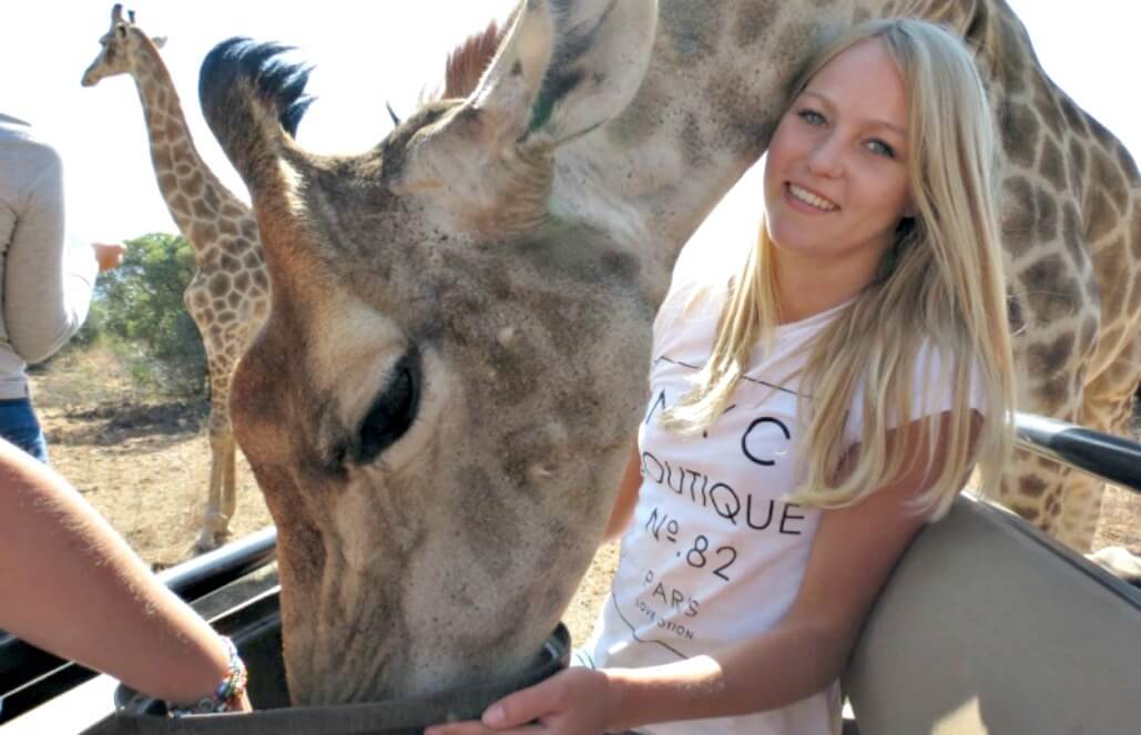 Volunteer in South Africa - Game Drive, Feeding Giraffes Volunteer in South Africa - Game Drive, Feeding Giraffes