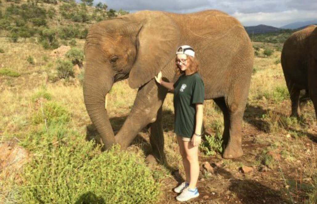Volunteer in South Africa - Up Close With Elephants