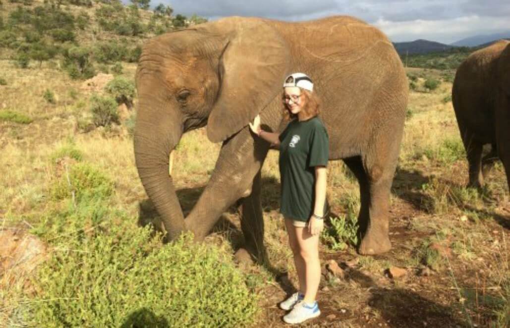 Volunteer in South Africa - Up Close With Elephants Volunteer in South Africa - Up Close With Elephants