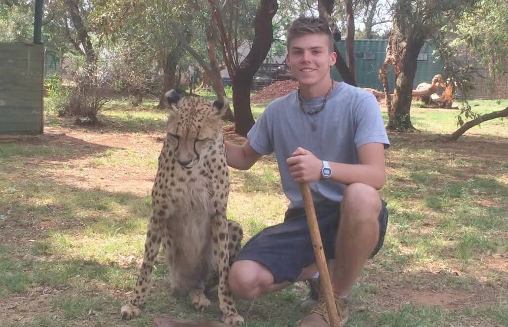 Volunteer in South Africa - A Cheetah Interaction