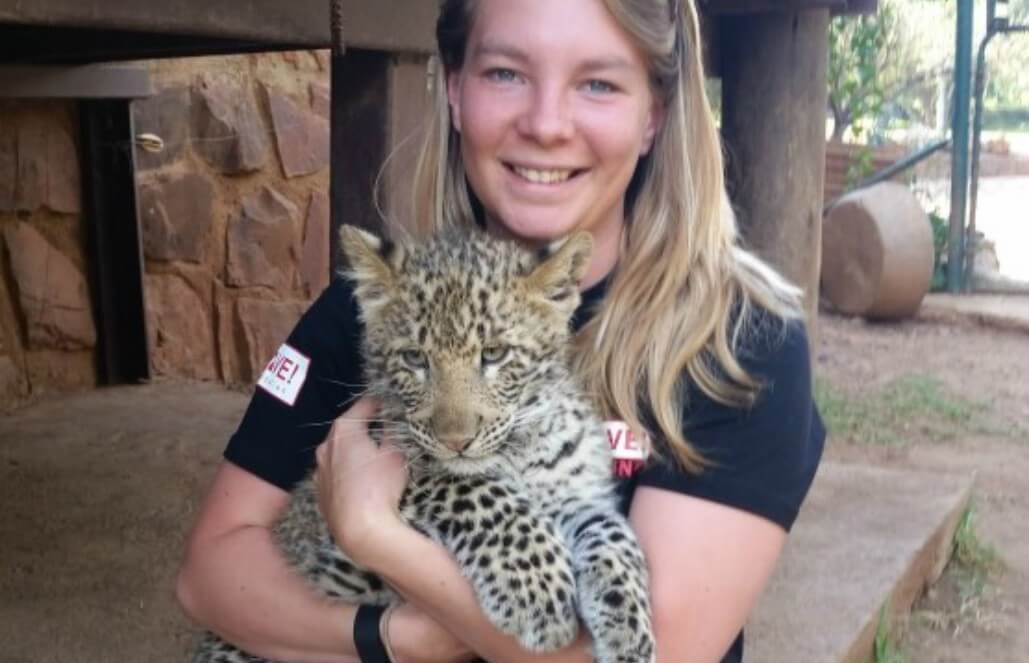 Volunteer in South Africa - A Four Month Old Cheetah Baby