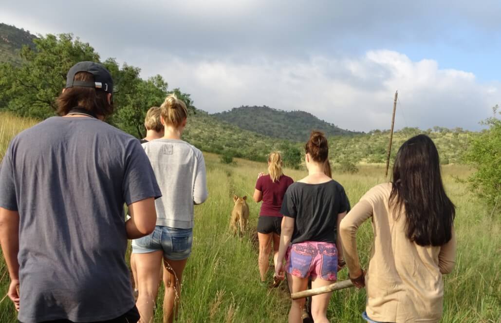 Volunteer in South Africa - Going For A Walk With Sahara