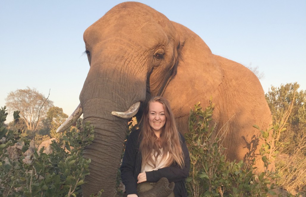 Volunteer in South Africa - The Elephant Wrapped Her Trunk Around Me