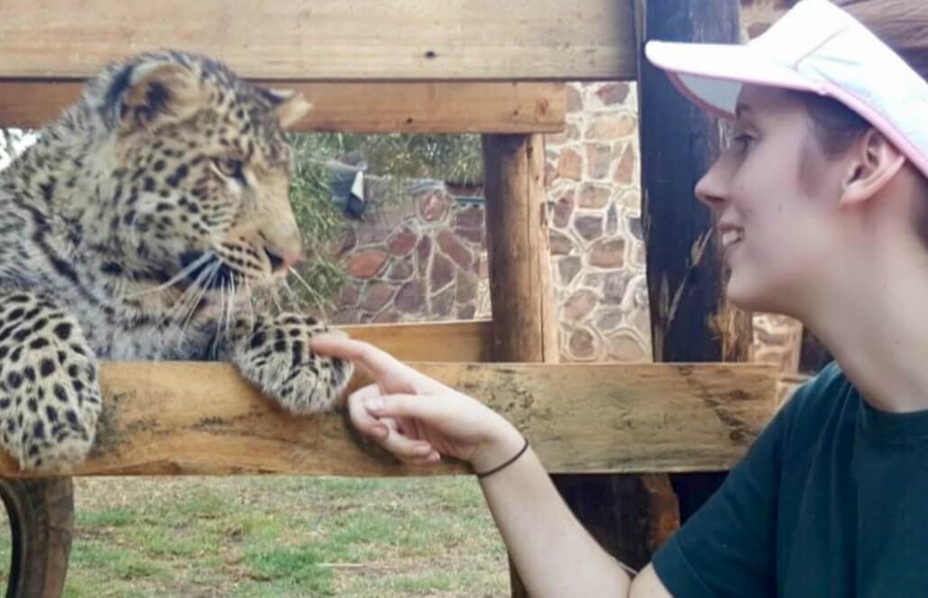 Volunteer in South Africa - Little Leopard Volunteer in South Africa - Little Leopard