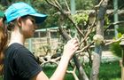 Volunteer in Peru - Peruvian Endangered Animals Sanctuary