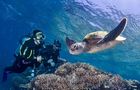 Volunteer in Australia - Great Barrier Reef Conservation