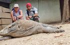 Volunteer in Indonesia - Komodo Dragon Conservation