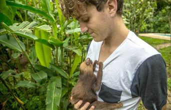 Volunteer with Sloths in Costa Rica - Animal Rescue and Conservation
