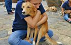 Volunteer in Sri Lanka - Dog Care and Veterinary Assistance