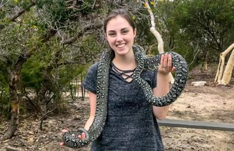 Volunteer in Australia - Wild Animal Sanctuary