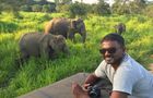 Volunteer in Sri Lanka - Wild Elephant Conservation and Research