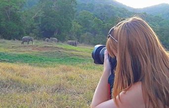 Volunteer in Sri Lanka - Wild Elephant Conservation and Research