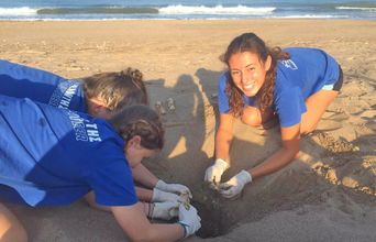 Volunteer in Greece - Mediterranean Sea Turtle Conservation