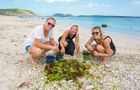 Volunteer in Indonesia - Bali Sea Turtle Rescue