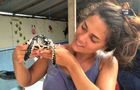 Volunteer in Indonesia - Bali Sea Turtle Rescue