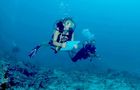 Volunteer in Seychelles - Scuba Dive for Research and Conservation