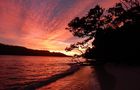 Volunteer in Seychelles - Scuba Dive for Research and Conservation