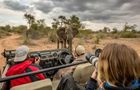 Volunteer in South Africa - Greater Kruger Area Wildlife Photography and Conservation