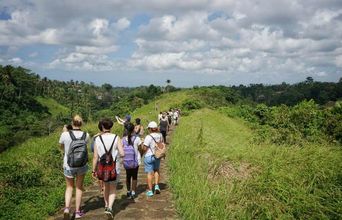 A Three Hour Walk Through The Rice Fields