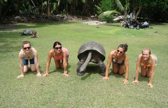 Hanging with a Giant Tortoise