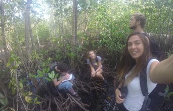 Volunteer in Seychelles - Wildlife Conservation Expedition