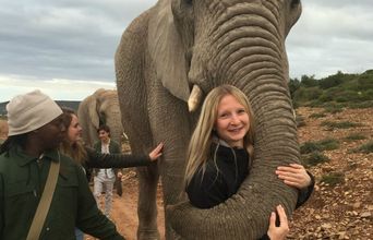 Elephant Hugs During A Weekend Activity