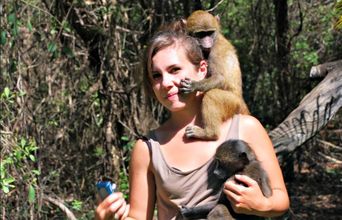 Play Time With the Baboons